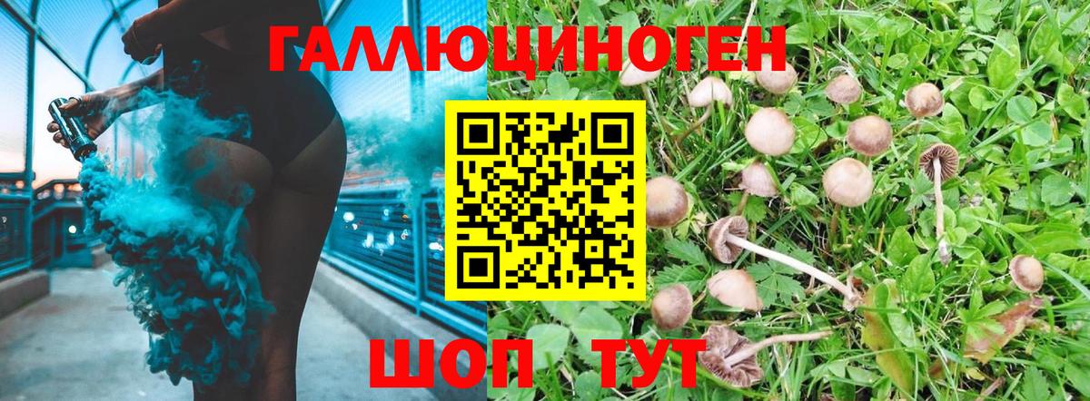 Галлюциногенные грибы GOLDEN TEACHER Воркута