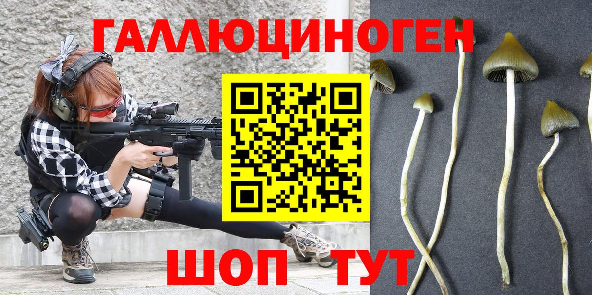 Воркута  Галлюциногенные грибы прущие грибы  Галлюциногенные грибы Psilocybe  Вход с VPN 